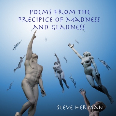 Poems From the Precipice of Madness and Gladness