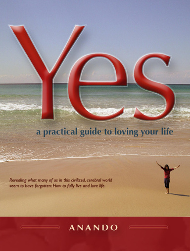 Yes - a practical guide to loving your life