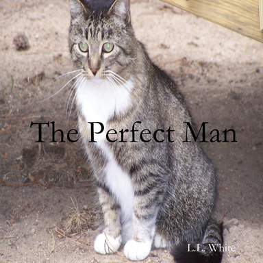 Perfect Man