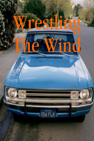Wrestling The Wind