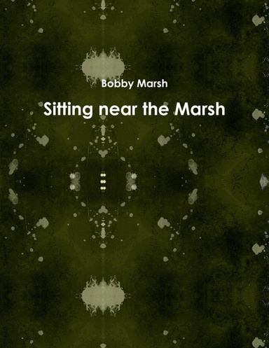 Sitting near the Marsh