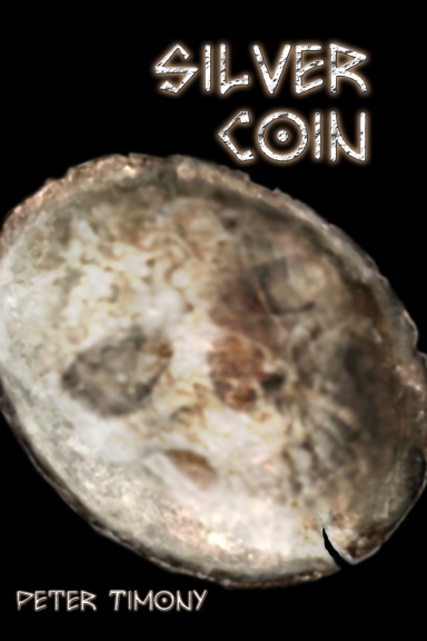 Silver Coin