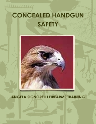 CONCEALED HANDGUN SAFETY