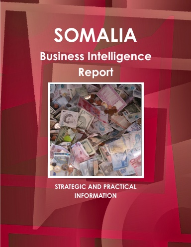 Somalia Business Intelligence Report