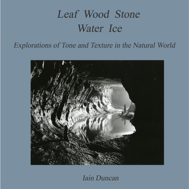 Leaf Stone Wood Water Ice