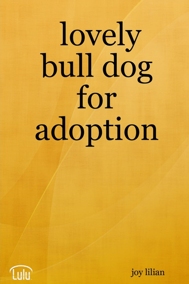 lovely bull dog for adoption