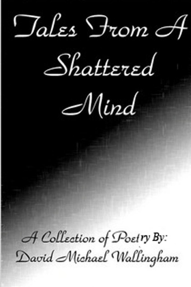 Tales From a Shattered Mind