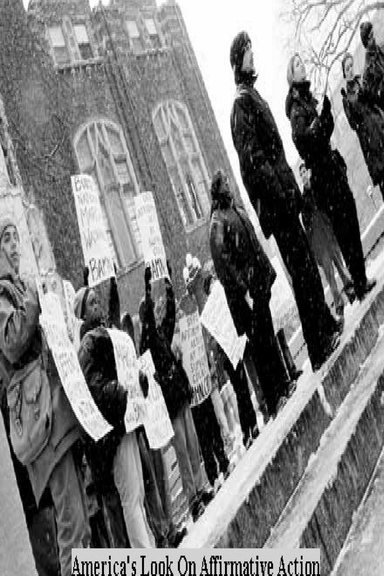 America's Look On Affirmative Action