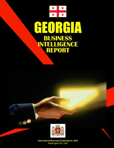 Georgia Business Intelligence Report