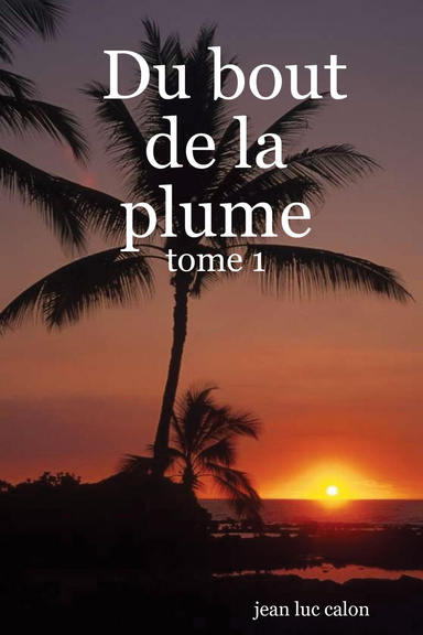 Du bout de la plume - tome 1