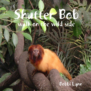 Shutter Bob: Walk on the Wild Side