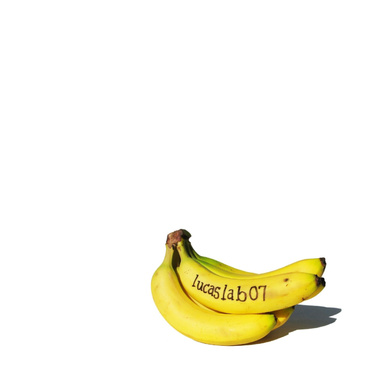 LucasLab07