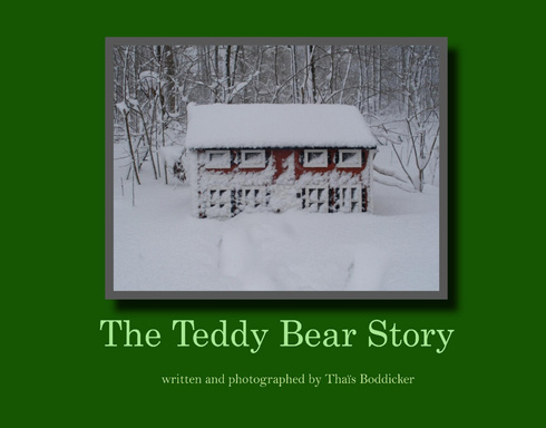 The Teddy Bear Story
