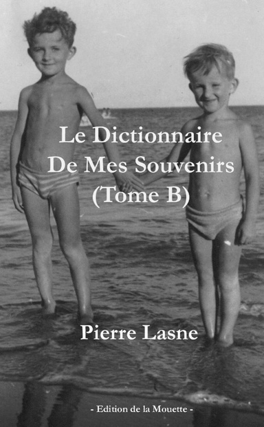 Le Dictionnaire De Mes Souvenirs - Tome B