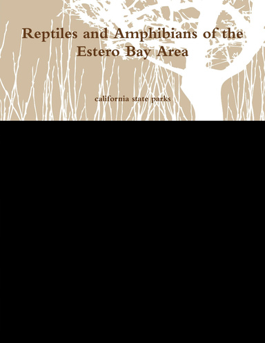 Reptiles and Amphibians of the Estero Bay Area