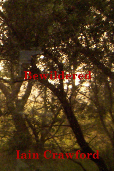 Bewildered