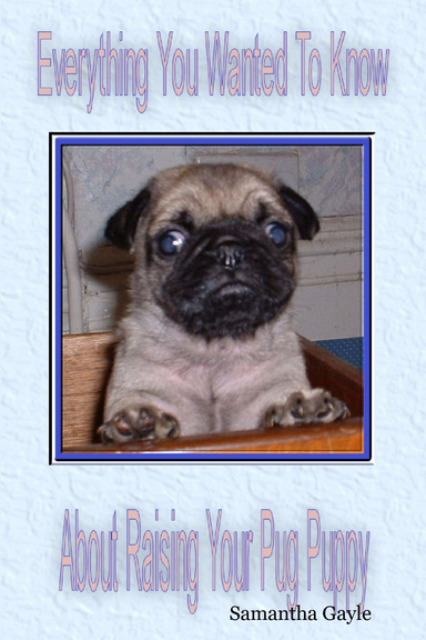 Everything you wanted to know about raising a Pug Puppy