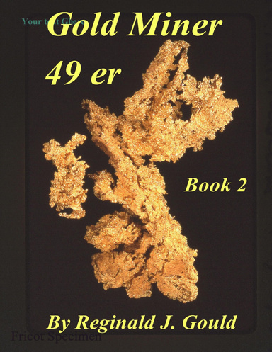 Gold Miner 49 er Book 2