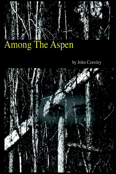 Among The Aspen