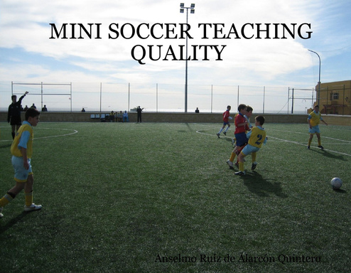 MINI SOCCER TEACHING QUALITY