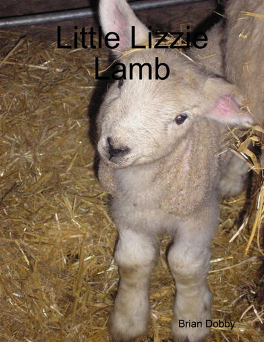 Little Lizzie Lamb
