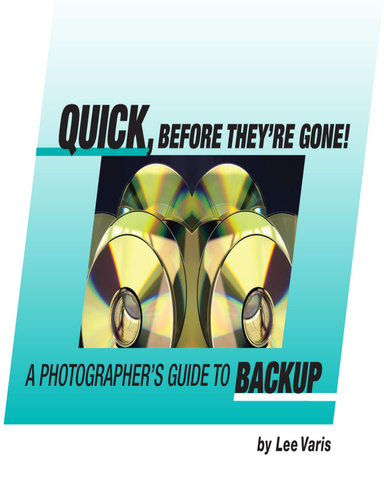 Quick, Before They're Gone! : A Photographer's Guide to Backup.