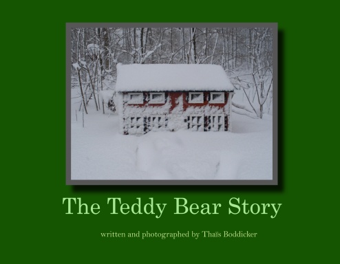 The Teddy Bear Story