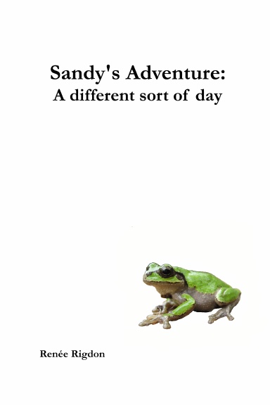 Sandy's Adventure:  A different sort of day