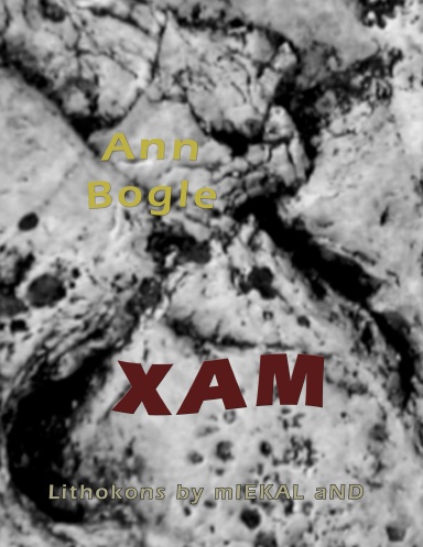 Xam