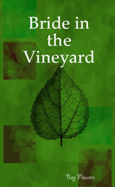 Bride in the Vineyard