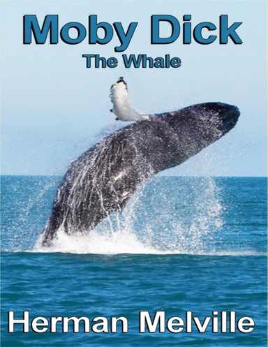 Moby Dick: The Whale