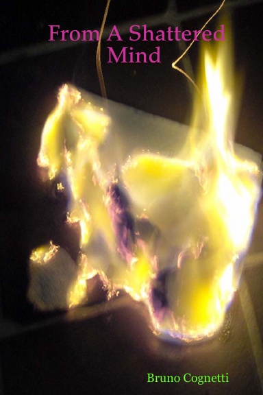 From A Shattered Mind