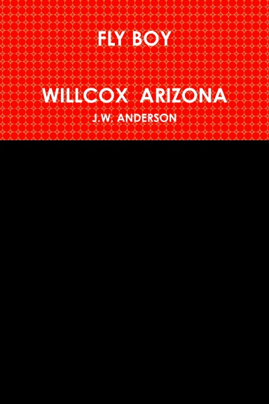 FLY BOY   WILLCOX  ARIZONA
