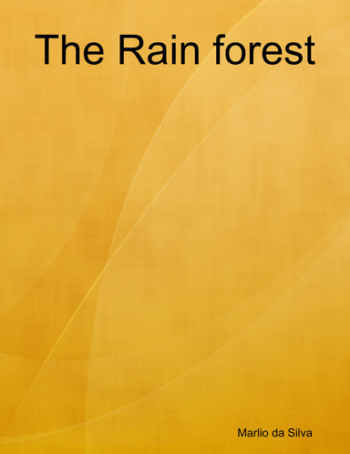 The Rain forest