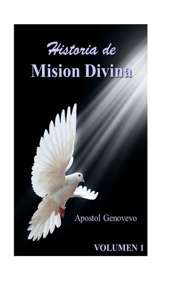 Historia de Mision Divina 1