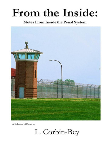 ...From The Inside: Notes from the Penal System