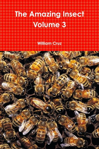 The Amazing Insect Volume 3