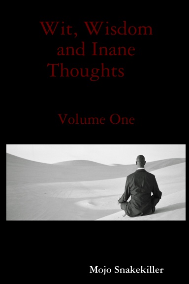Wit, Wisdom and Inane Thoughts    Volume One