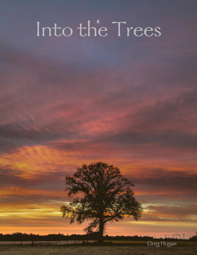 Into the Trees