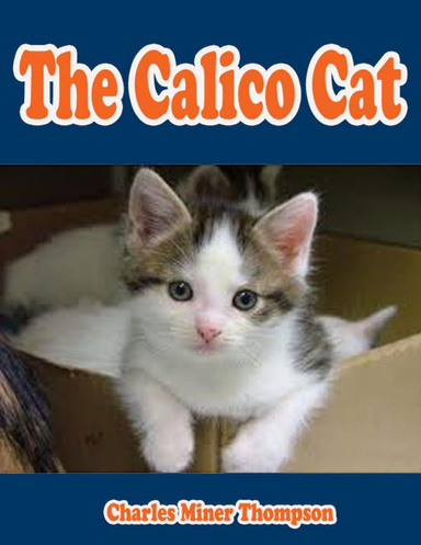 The CalicoCat