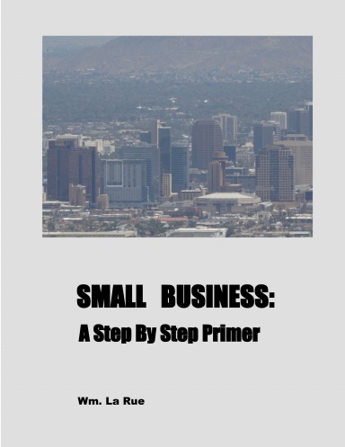 SMALL BUSINESS: A Step By Step Primer