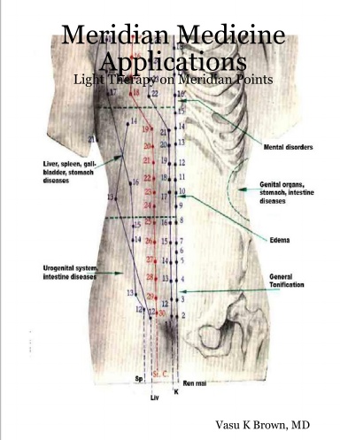 Meridian Medicine Applications: Acupuncture with PEMF Magnet & Laser Therapy