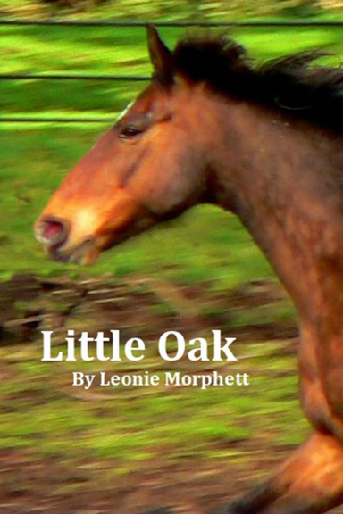 Little Oak