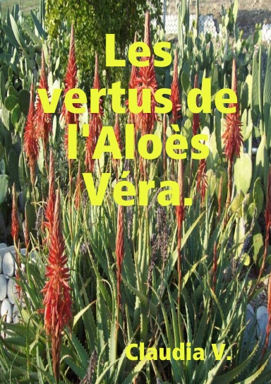 Les vertus de l'Aloès Véra.