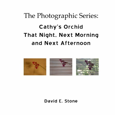 Cathy’s Orchid - That Night, Next Morning  and Next Afternoon