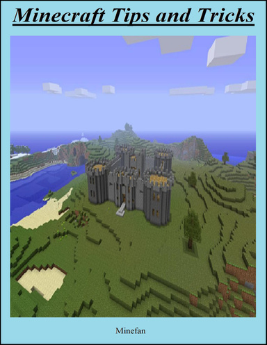 Minecraft Tips and Tricks