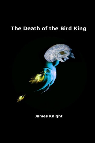 The Death of the Bird King