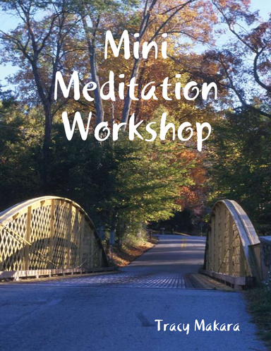 Mini Meditation Workshop