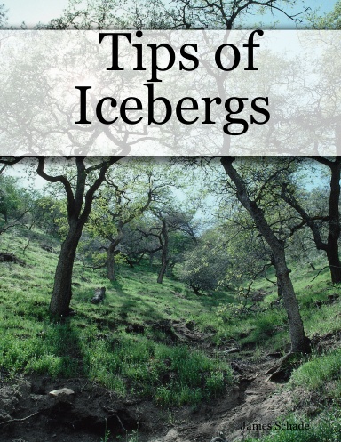 Tips of Icebergs