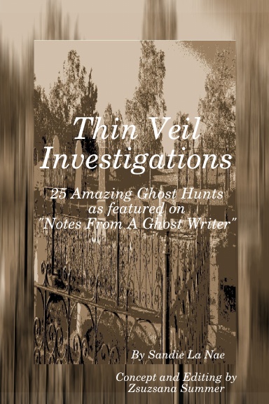 Thin Veil Investigations